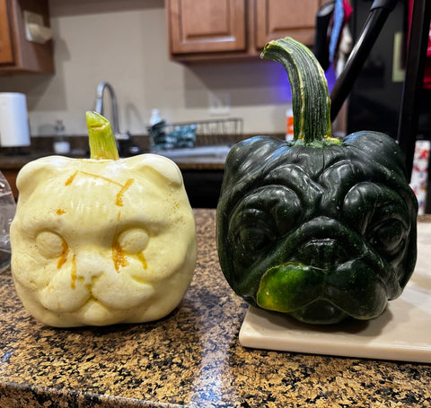 Dog and cat face shaped pumpkin mold