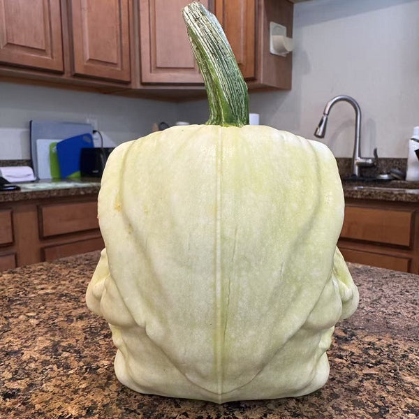 Witch plastic mold for pumpkin