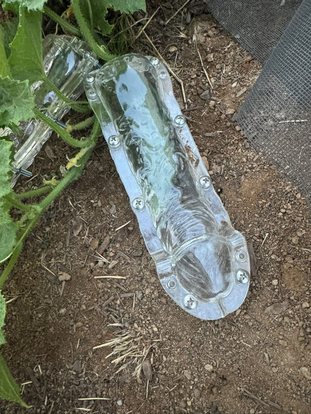 Penis cucumber mold for vegetable