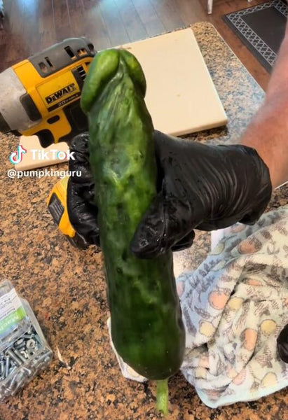 Penis cucumber mold for vegetable