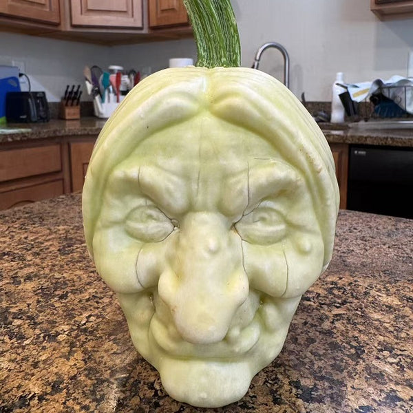 Witch plastic mold for pumpkin