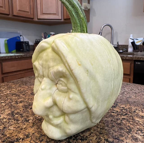 Witch plastic mold for pumpkin