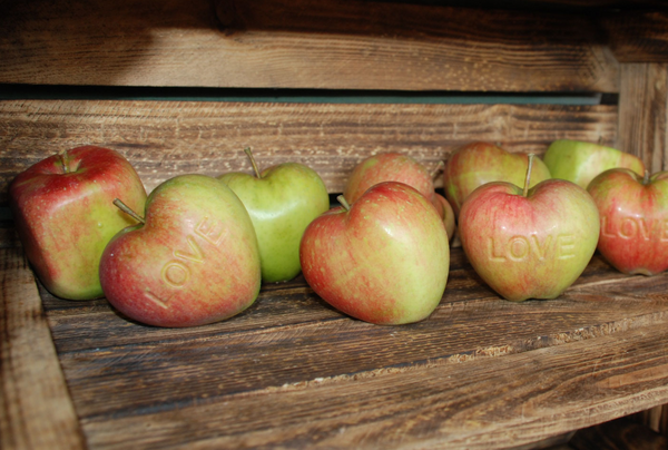 Heart apple mold with  "love"  (5 pieces )