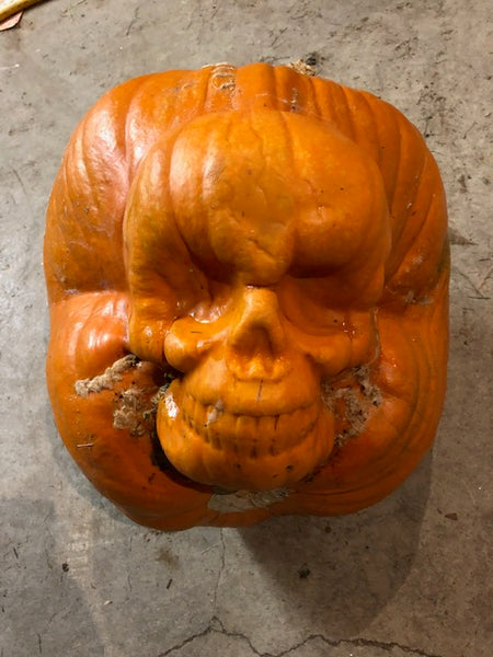skeleton pumpkin mold face part for sale