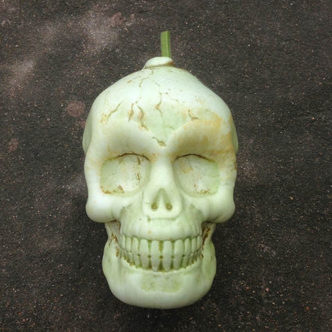 Skull shape pumpkins molds for sale