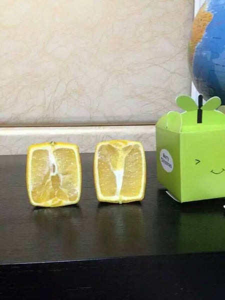 Square shaped apple molds for sale (5 molds )